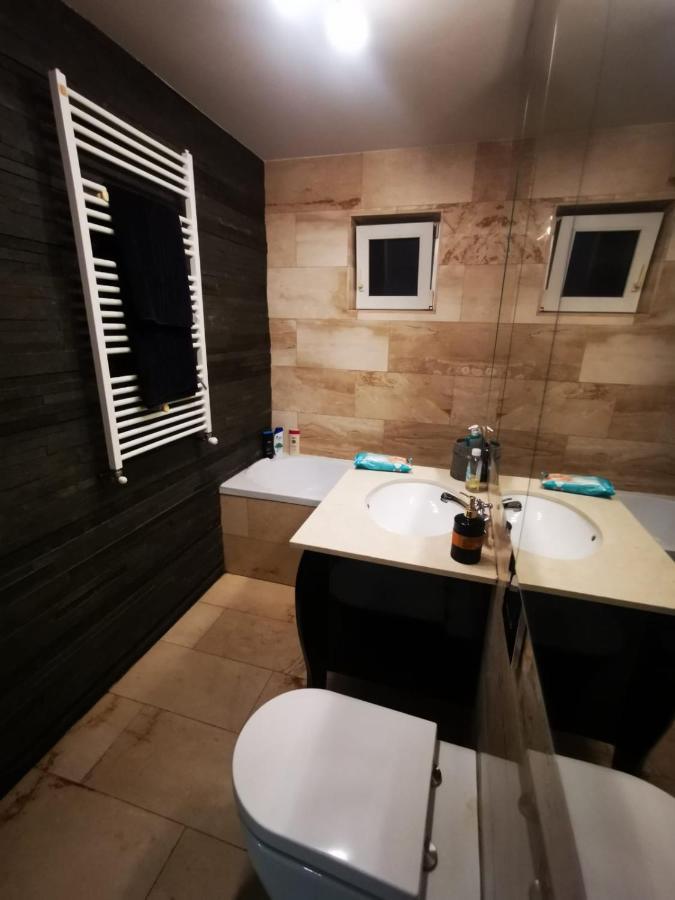 Luxury Apartment. 10 Minutes Taxi Ride To Center Тимишоара Екстериор снимка