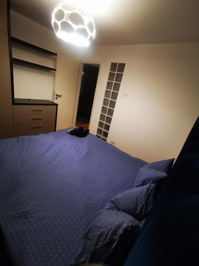 Luxury Apartment. 10 Minutes Taxi Ride To Center Тимишоара Екстериор снимка