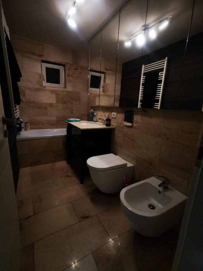 Luxury Apartment. 10 Minutes Taxi Ride To Center Тимишоара Екстериор снимка