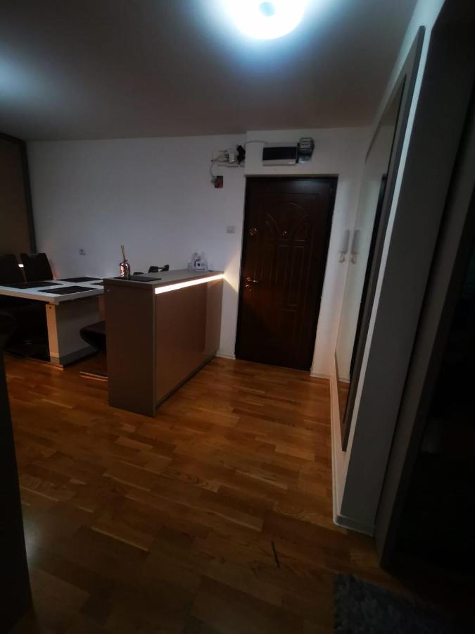 Luxury Apartment. 10 Minutes Taxi Ride To Center Тимишоара Екстериор снимка