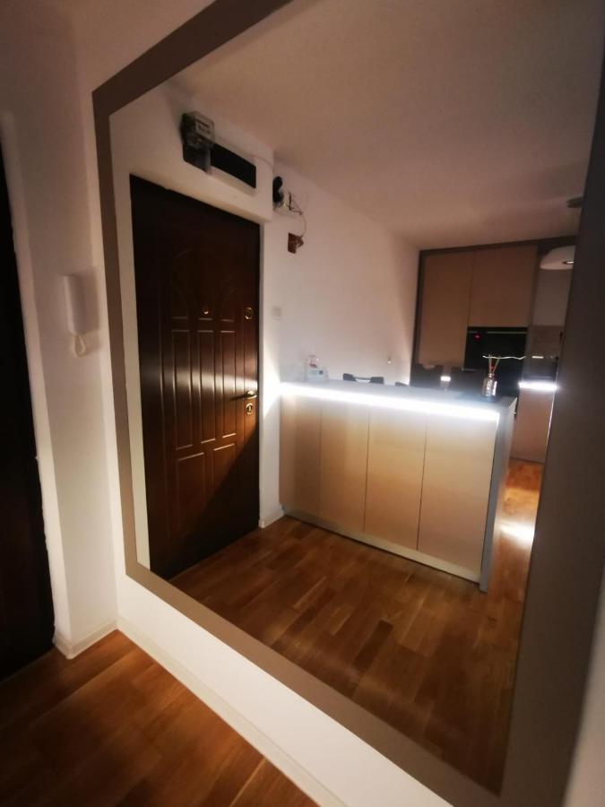 Luxury Apartment. 10 Minutes Taxi Ride To Center Тимишоара Екстериор снимка